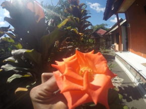 Гостиница Dipa Home Stay  Убуд